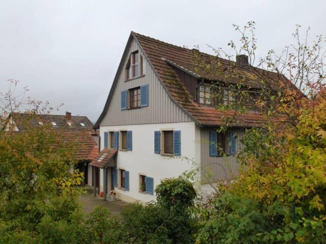 Ferienwohnung Holl-Horn Gaienhofen  Bagian luar foto
